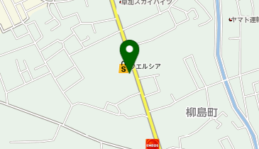 宅配ロッカーPUDO ウエルシア 草加柳島店の地図画像