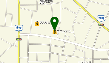 宅配ロッカーPUDO ウエルシア 本庄児玉南店の地図画像