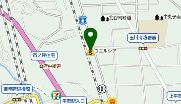 宅配ロッカーPUDO ウエルシア 川崎平間店の地図画像