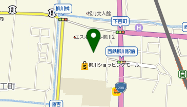 宅配ロッカーPUDO 新生堂薬局 柳川駅前店の地図画像