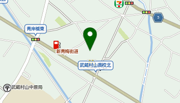 株式会社ライナスの地図画像