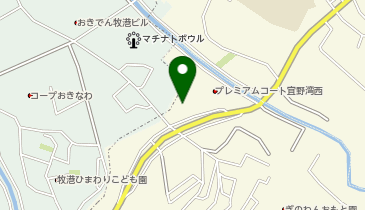 株式会社南西エステートの地図画像