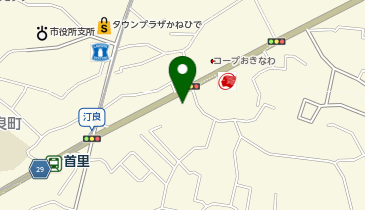 有限会社新地開発の地図画像