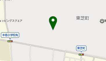 東芝ディーエムエス株式会社の地図画像