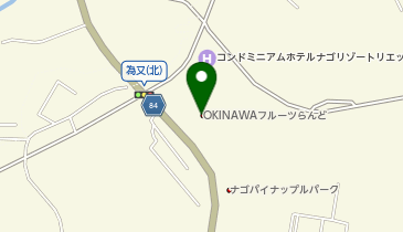 沖縄フルーツランド株式会社」(名護市-社会関連-〒905-0005)の