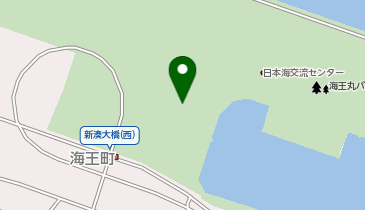 株式会社新湊観光船の地図画像