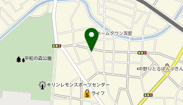 有限会社信濃自動車の地図画像
