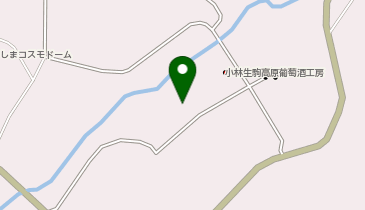 株式会社NPK 小林生駒高原葡萄酒工房の地図画像