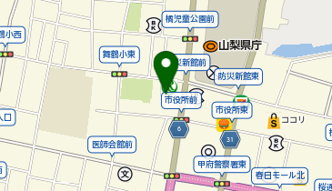 アフラック生命保険株式会社 山梨支社の地図画像