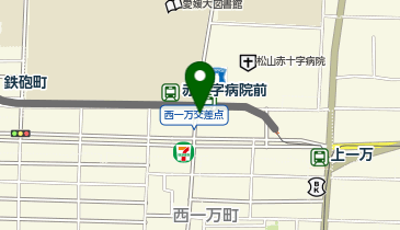日本調剤株式会社 松山営業所の地図画像