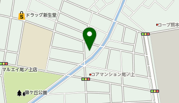 九州総合サービス株式会社 熊本事業所の地図画像