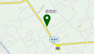 株式会社千代田輸送 埼玉倉庫兼営業所の地図画像