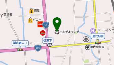 日本デルモンテ株式会社 長野工場の地図画像