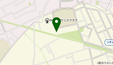中央林間小学校南側 (エコバイク)の地図画像