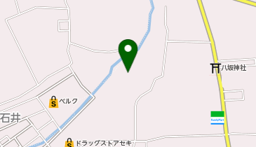 [EV]第一プラザ 坂戸1000店の地図画像
