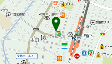東京個別指導学院(ベネッセグループ) 松戸教室の地図画像