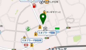 東京個別指導学院(ベネッセグループ) たまプラーザ教室の地図画像