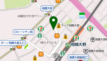 臨海セミナー 小中学部 相模大野の地図画像