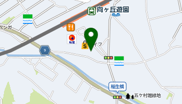 臨海セミナー 小中学部 向ヶ丘遊園の地図画像