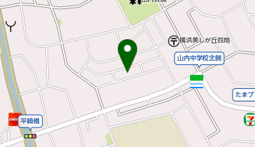 臨海セミナー 小中学部 たまプラーザ校の地図画像