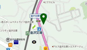 臨海セミナー 中学受験科・都立/公立中高一貫校受験 金沢文庫東の地図画像