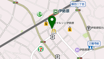 臨海セミナー 中学受験科・都立/公立中高一貫校受験 伊勢原の地図画像