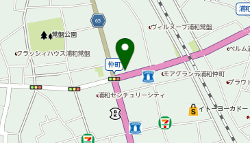 湘南ゼミナール 総合進学コース 浦和の地図画像