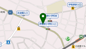 代々木個別指導学院 伊勢原校の地図画像