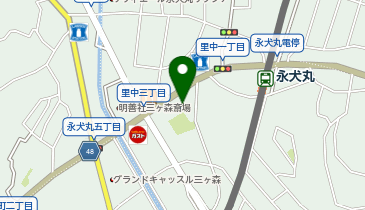 トライ式英会話 永犬丸校の地図画像