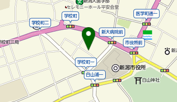 大学受験予備校のトライ 新潟市役所前校の地図画像