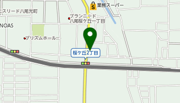 進ゼミ個別 八尾校の地図画像