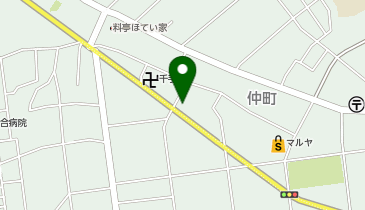 W早稲田ゼミ 岩槻校の地図画像