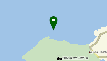 シャクシの浜 白崎(由良町)エリアの地図画像