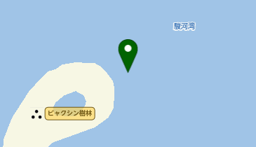 先端 大瀬崎エリアの地図画像
