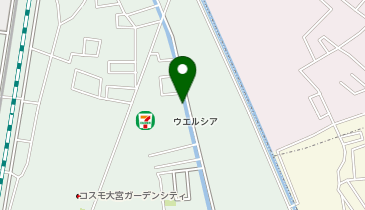 CHARGESPOT(チャージスポット)ウエルシア さいたま今羽店の地図画像