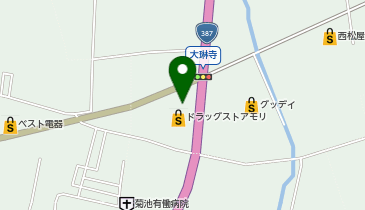 CHARGESPOT(チャージスポット)ローソン 菊池大琳寺店の地図画像
