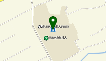 CHARGESPOT(チャージスポット)ローソン 新潟医療福祉大学店の地図画像