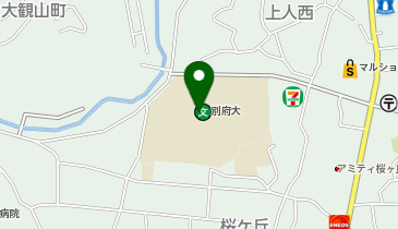 CHARGESPOT(チャージスポット)ローソン 別府上人南店の地図画像