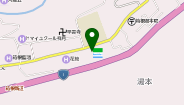 ChargeSPOT ファミリーマート 箱根湯本店の地図画像