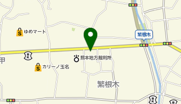 CHARGESPOT(チャージスポット)ドコモショップ 玉名店の地図画像