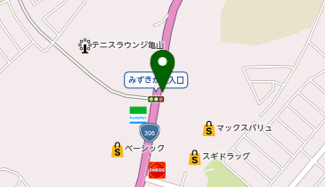 CHARGESPOT(チャージスポット)スギ薬局 みずほ台店の地図画像