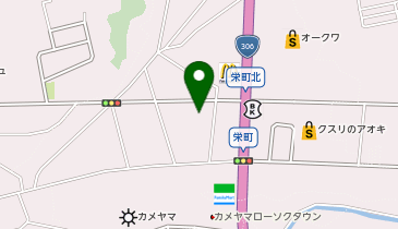 CHARGESPOT(チャージスポット)スギ薬局 亀山栄店の地図画像