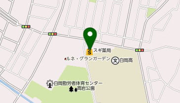 CHARGESPOT(チャージスポット)スギ薬局 新白岡店の地図画像
