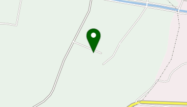 ECCジュニア 石井記念ひかり保育園教室の地図画像