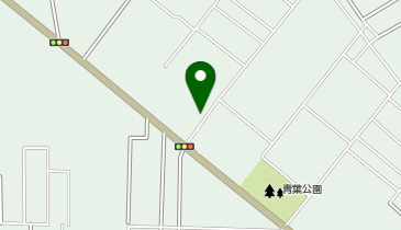 コインランドリーココチおいらせ町青葉店の地図画像