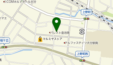 ぼくんちの洗濯広場金池南店の地図画像