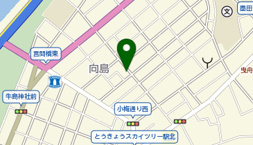 スカイランドリー向島の地図画像