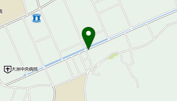 大型コインランドリー東大洲店の地図画像