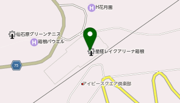 HESTAチャージ 星槎レイクアリーナ箱根の地図画像