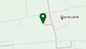 胆沢デイサービスセンターの地図画像